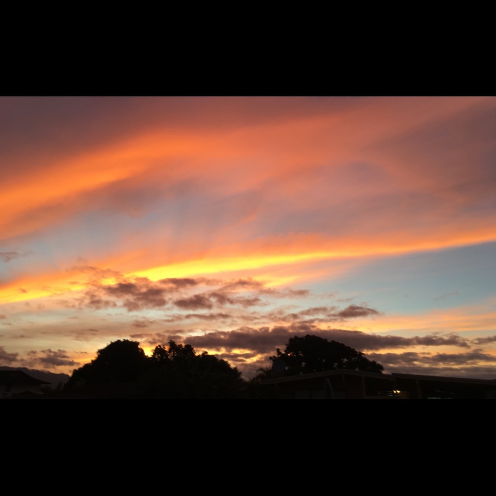 Meet your Posher, Dayna